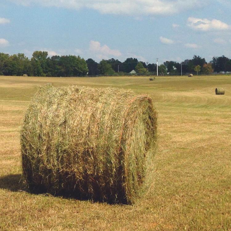 Hay bale